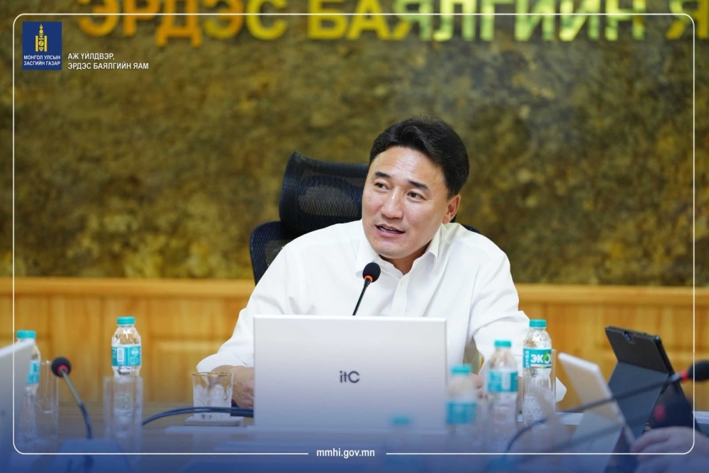 АҮЭБЯ: Зохиомол хомсдол үүсгэж буй ААН-үүдийн тусгай зөвшөөрлийг цуцална