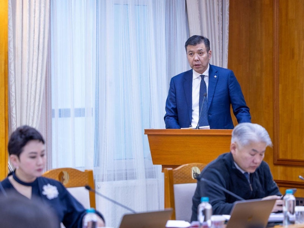 Төрийн албан хаагчдыг 20-30 төрлийн тайлангаас чөлөөллөө