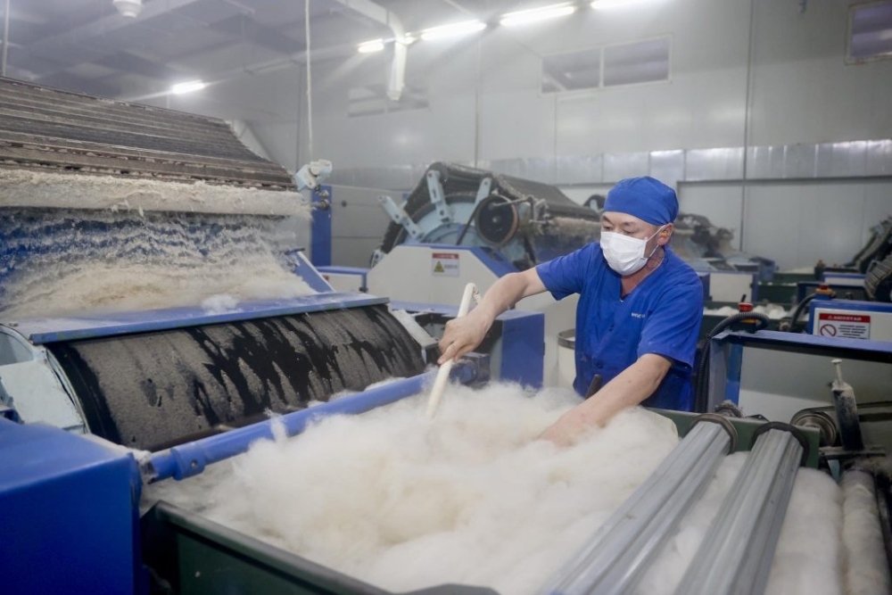 Ноолуур 210 мянган төгрөгт хүрлээ