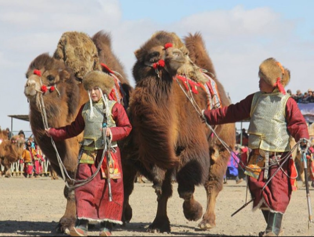 Ирэх сард Лондонд “Монгол тэмээний өдөрлөг” болно