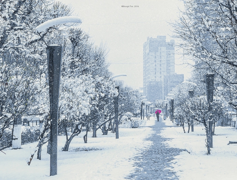 Өнөөдрөөс эхэлж Хангай, Хөвсгөл, Хэнтийн уулархаг нутгаар цас орно