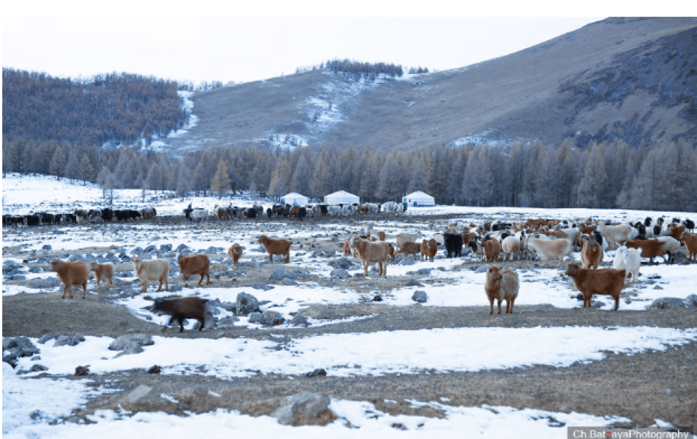 2026 оны 3 дугаар сарын 27-ноос 31-нийг дуусталх 5 хоногийн цаг агаарын урьдчилсан мэдээ