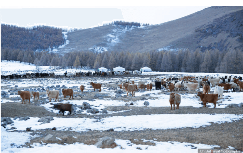 2026 оны 3 дугаар сарын 27-ноос 31-нийг дуусталх 5 хоногийн цаг агаарын урьдчилсан мэдээ