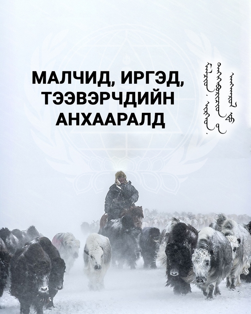 Ихэнх нутгаар хүйтний эрч чангарч, нутгийн өмнөд хэсгээр хүчтэй салхи шуургатай байхыг анхааруулж байна