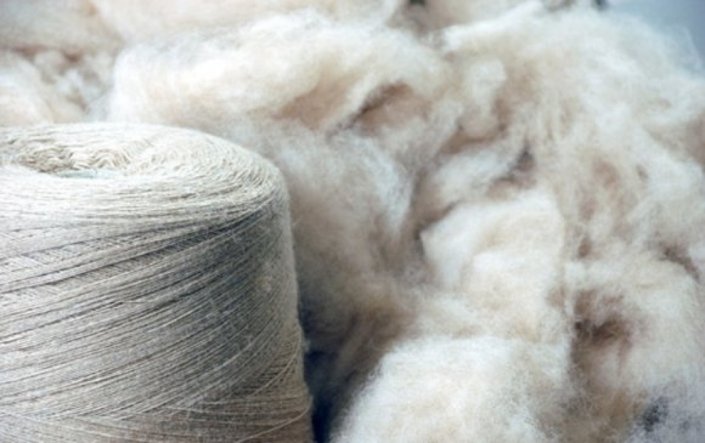 Ноолуурын үйлдвэрлэлийг дэмжих тухай Засгийн газрын тогтоол батлагдлаа