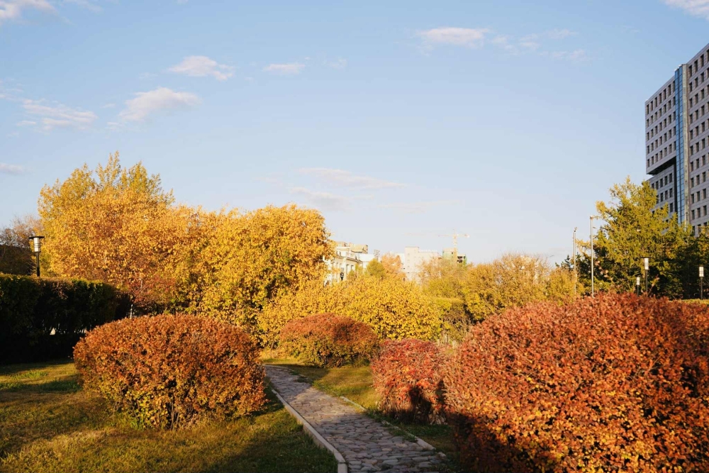 Өнөөдрөөс эхлэн нийт нутгаар сэрүүснэ