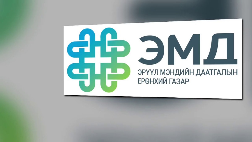 ЭМД-ын сангийн зардал  1728.7 тэрбум төгрөг болж, өмнөх оны мөн үеэс 171 тэрбум төгрөгөөр нэмэгджээ
