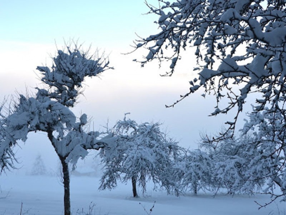 Төвийн бүс нутгаар  цочир хүйтэрнэ